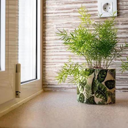 Spot Beach, Food & Coffee Nearby Apartmán