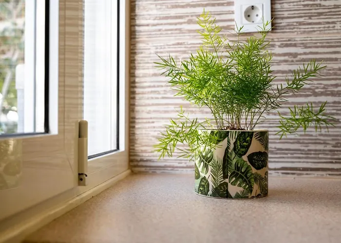 Spot Beach, Food & Coffee Nearby شقة